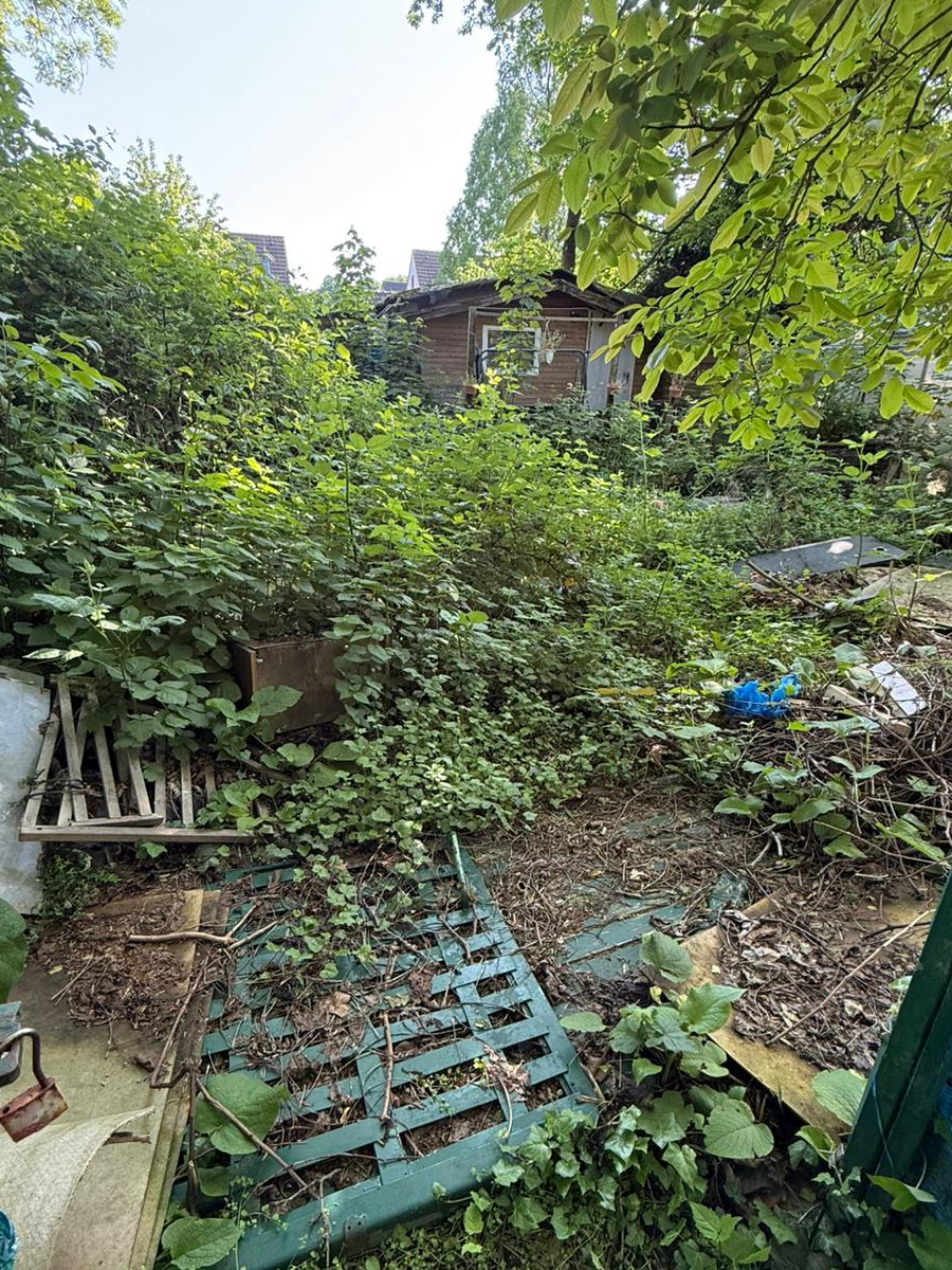Vorherbild einer verwilderten Grünfläche in Duisburg